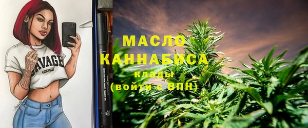 твердый Богородск