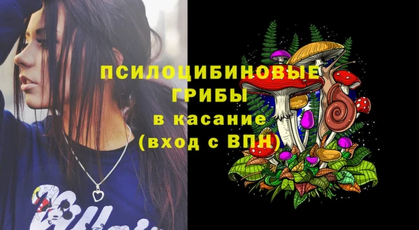 твердый Богородск