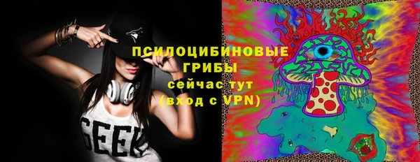 МДПВ Богданович