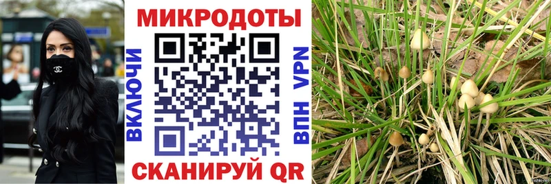 Псилоцибиновые грибы Psilocybe  Белорецк 